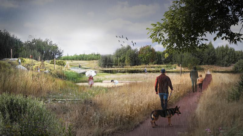 nosabyviken våtmarksområde